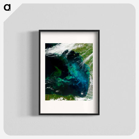 アートポスター-Phytoplankton Bloom, Bay of Biscay
 - 上空からの地球 Poster.