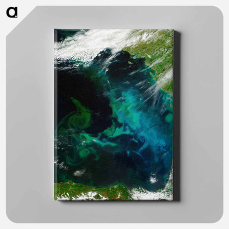 アートパネル-Phytoplankton Bloom, Bay of Biscay
 - 上空からの地球 Canvas.