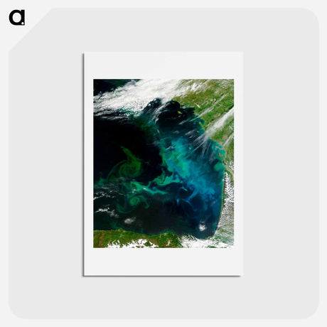 アートポストカード-Phytoplankton Bloom, Bay of Biscay
 - 上空からの地球 Postcard.