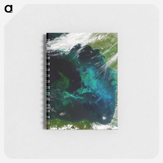 アートメモ帳-Phytoplankton Bloom, Bay of Biscay
 - 上空からの地球 Memo.