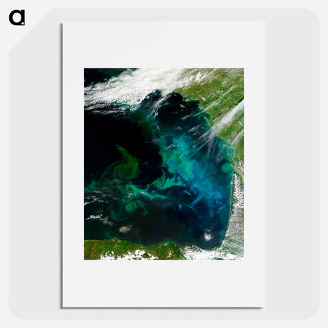 アートポスター-Phytoplankton Bloom, Bay of Biscay
 - 上空からの地球 Poster.