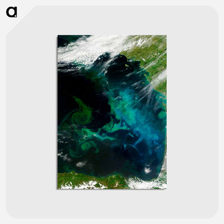 アートポストカード-Phytoplankton Bloom, Bay of Biscay
 - 上空からの地球 Postcard.