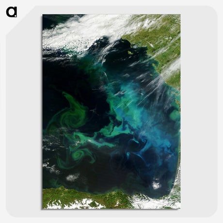1-47_Earth-from-Above_picture-crop