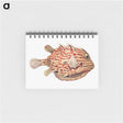 アートメモ帳-Vintage fish illustration on white background - エルンスト ヘッケル Memo.
