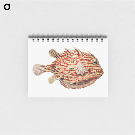 アートメモ帳-Vintage fish illustration on white background - エルンスト ヘッケル Memo.