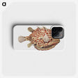 1-47_Ernst-Haeckel_phone