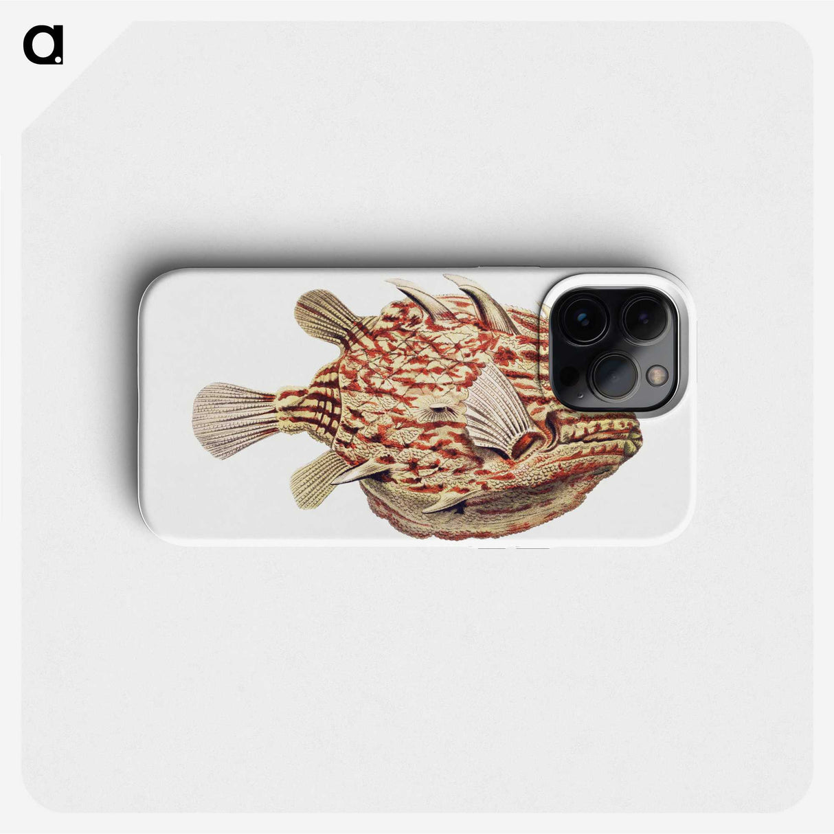 1-47_Ernst-Haeckel_phone