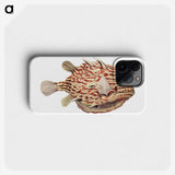 1-47_Ernst-Haeckel_phone