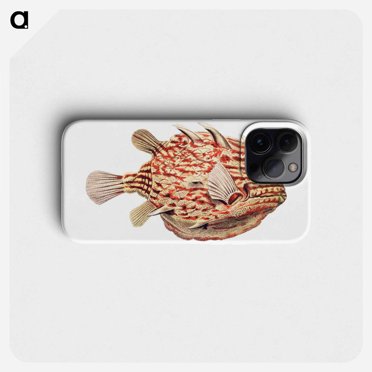 Vintage fish illustration on white background - エルンスト ヘッケル Phone Case.