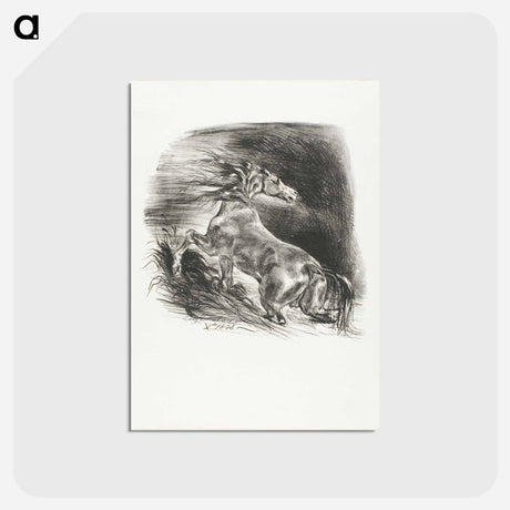 アートポストカード-モノクロ - ウジェーヌ ドラクロワ Postcard.