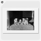 1-47_Frederick-Charles-Brockett_picture