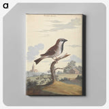1-47_George-Edwards_canvas