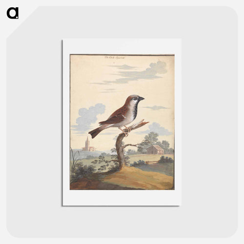 The Cock Sparrow
 - ジョージ エドワーズ Postcard.