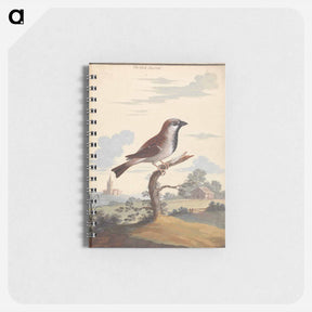 アートメモ帳-The Cock Sparrow
 - ジョージ エドワーズ Memo.