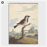1-47_George-Edwards_picture-crop