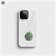 1-47_Histoire-des-Plantes-Grasses_phone