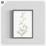 1-47_Hortus-Romanus-Botanical-Plates_blk-crop