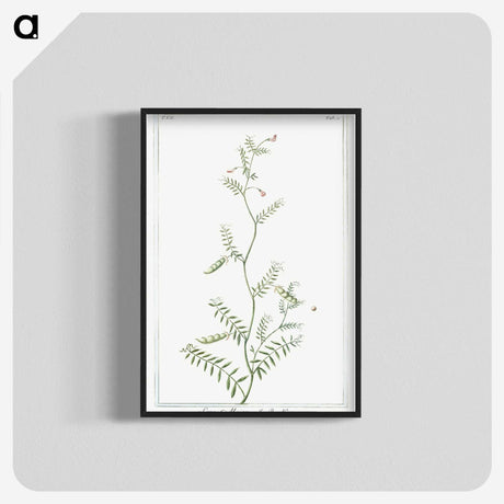 1-47_Hortus-Romanus-Botanical-Plates_blk-crop