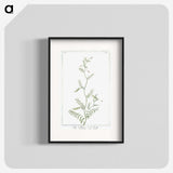 1-47_Hortus-Romanus-Botanical-Plates_blk