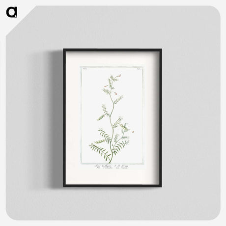 1-47_Hortus-Romanus-Botanical-Plates_blk
