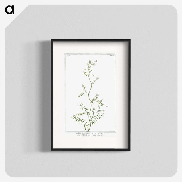 1-47_Hortus-Romanus-Botanical-Plates_blk