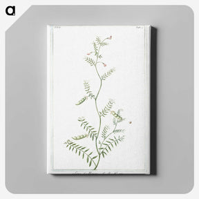 1-47_Hortus-Romanus-Botanical-Plates_canvas
