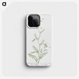 1-47_Hortus-Romanus-Botanical-Plates_phone