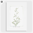1-47_Hortus-Romanus-Botanical-Plates_picture