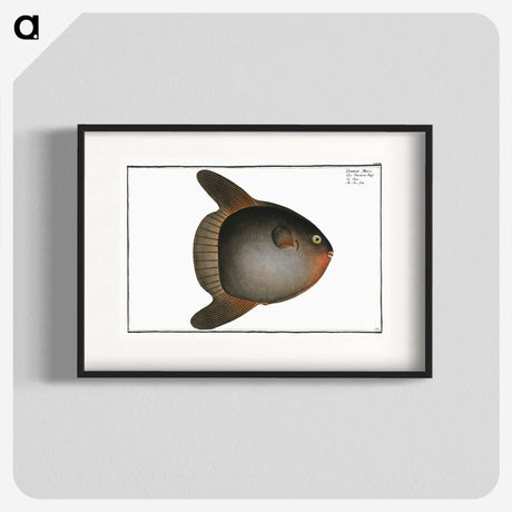 1-47_Ichtyologie-ou-Histoire-naturelle_blk