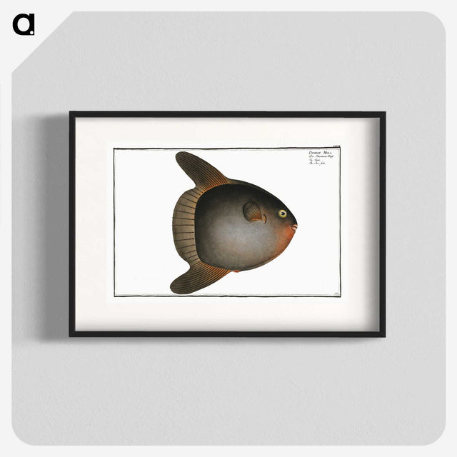 1-47_Ichtyologie-ou-Histoire-naturelle_blk