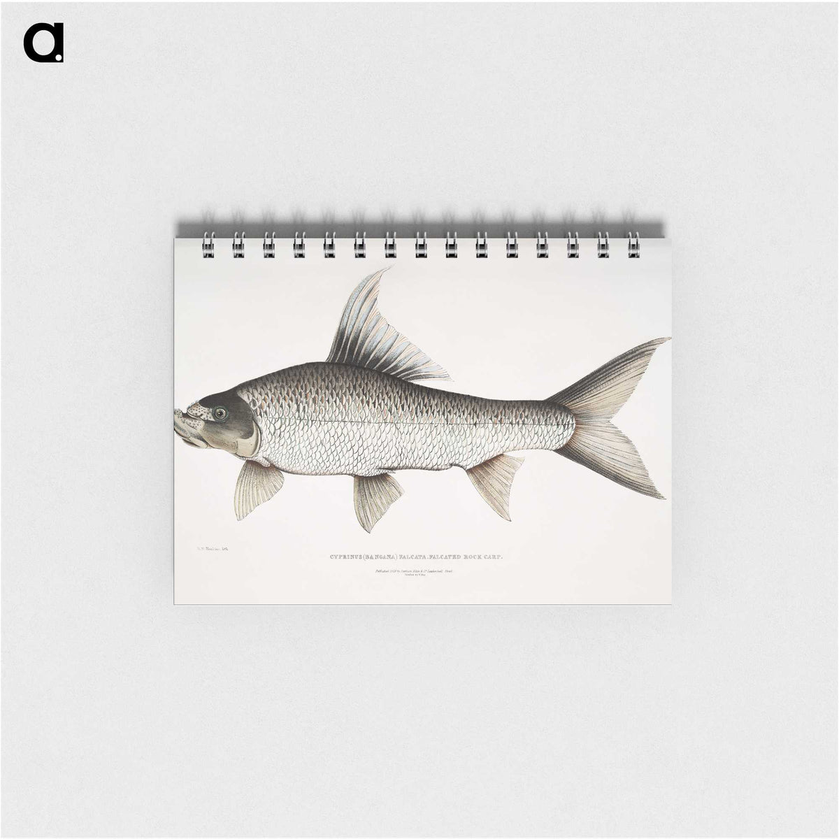 1-47_Indian-Zoology_memo