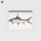 1-47_Indian-Zoology_memo