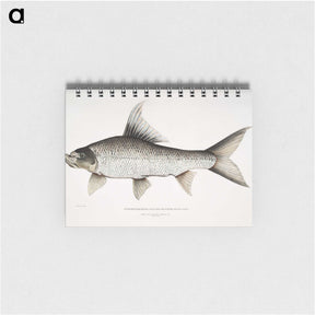 1-47_Indian-Zoology_memo