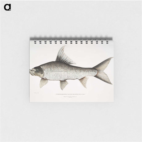1-47_Indian-Zoology_memo