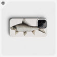 1-47_Indian-Zoology_phone