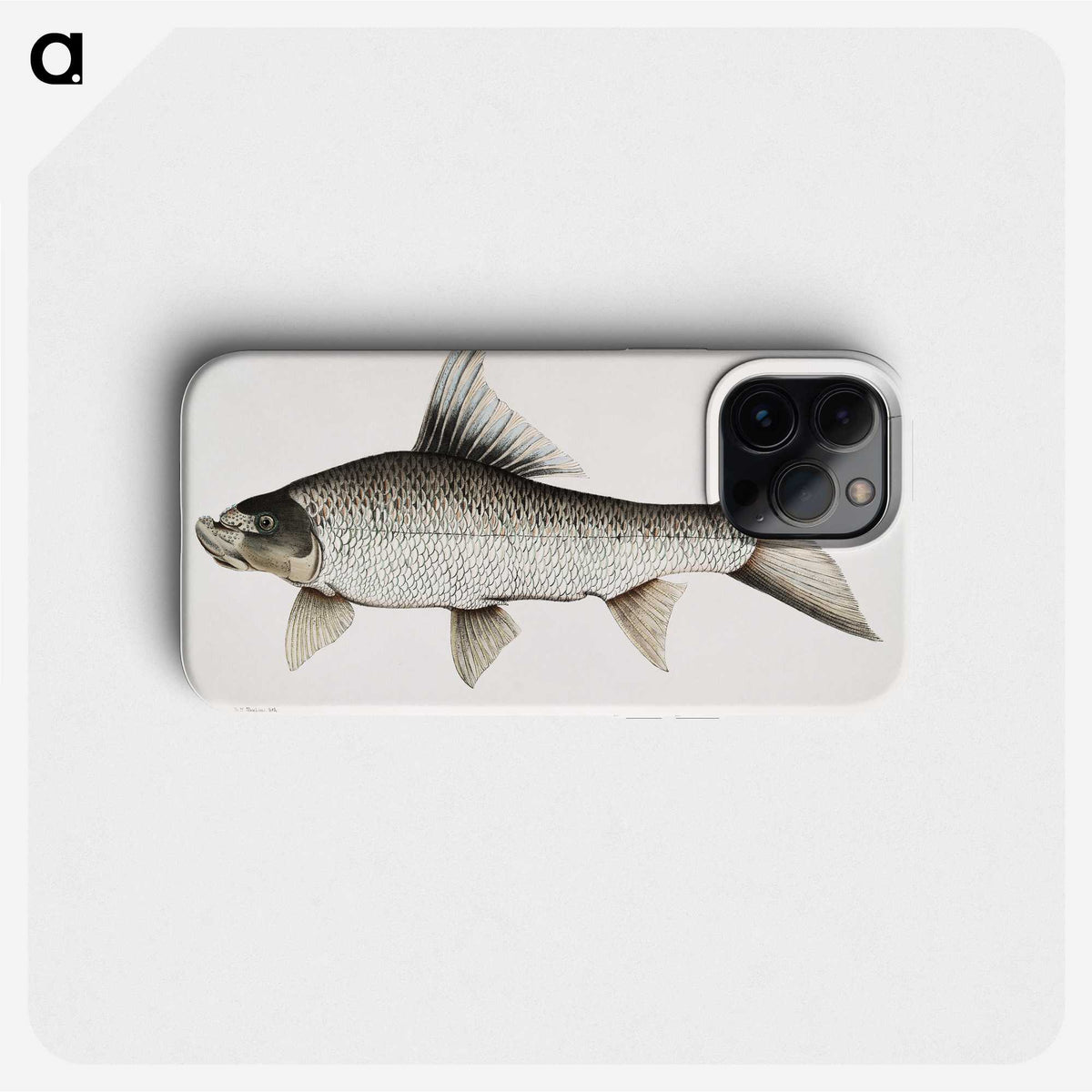 1-47_Indian-Zoology_phone