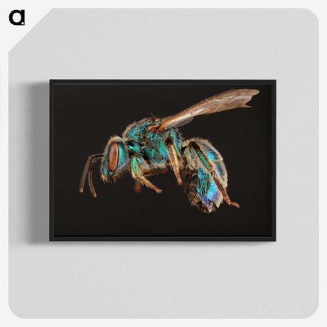 1-47_Insects-Unlocked-Project_blk-crop
