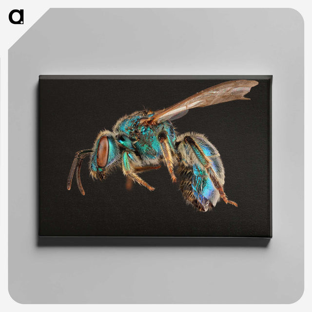1-47_Insects-Unlocked-Project_canvas