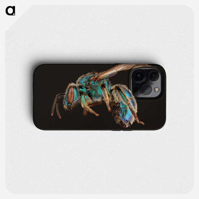 1-47_Insects-Unlocked-Project_phone