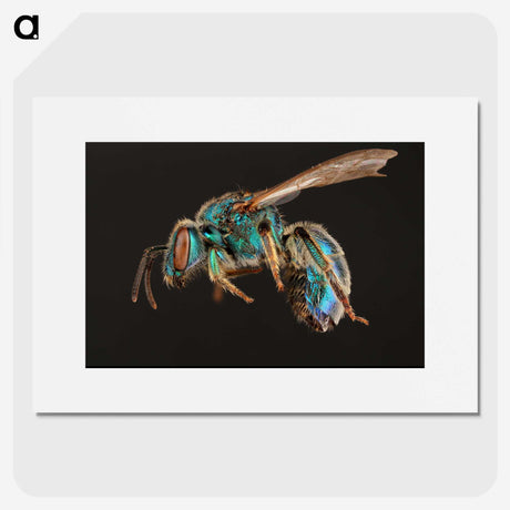 1-47_Insects-Unlocked-Project_picture