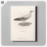 1-47_James-Heath_canvas