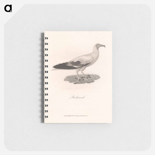 Rachamah
 - ジェームス ヒース Memo.