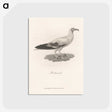 1-47_James-Heath_postcard