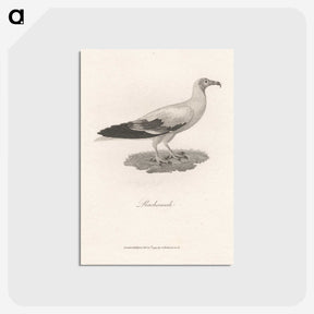 1-47_James-Heath_postcard