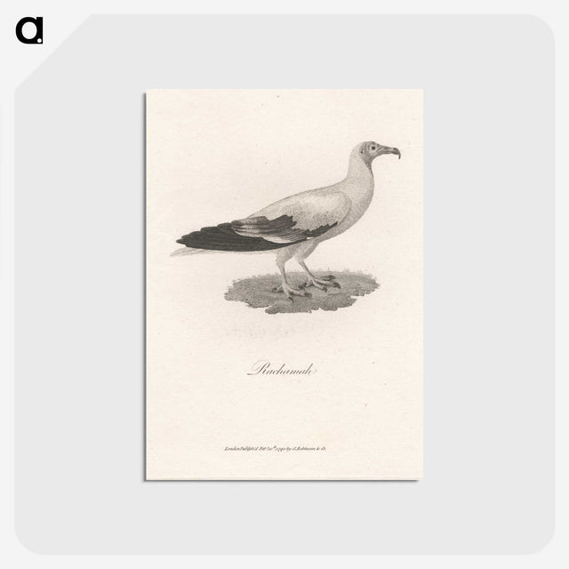 1-47_James-Heath_postcard