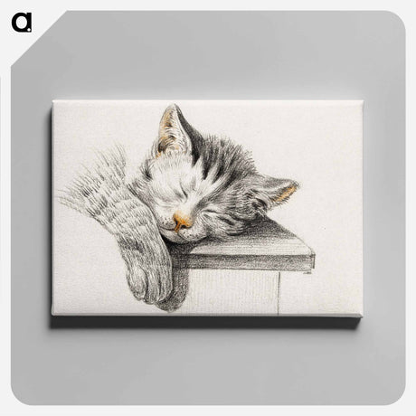 アートパネル-Sketch of a sleeping cat - ジャン ベルナール Canvas.