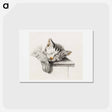アートポストカード-Sketch of a sleeping cat - ジャン ベルナール Postcard.