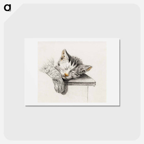 アートポストカード-Sketch of a sleeping cat - ジャン ベルナール Postcard.