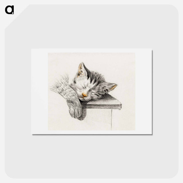 アートポストカード-Sketch of a sleeping cat - ジャン ベルナール Postcard.
