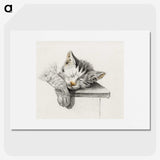 1-47_Jean-Bernard_picture